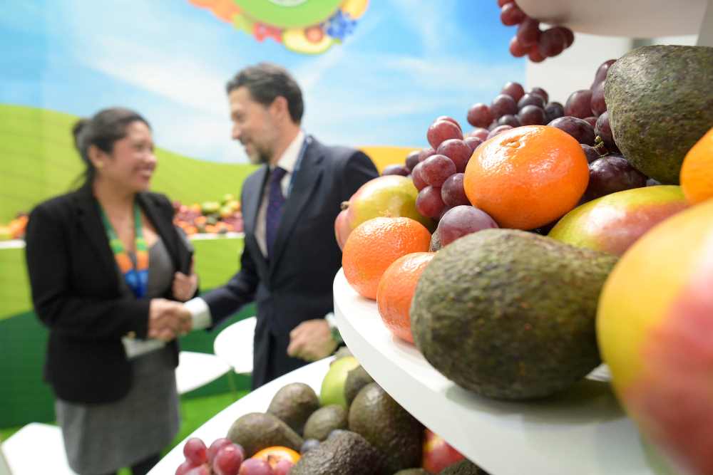 fruit logisitca