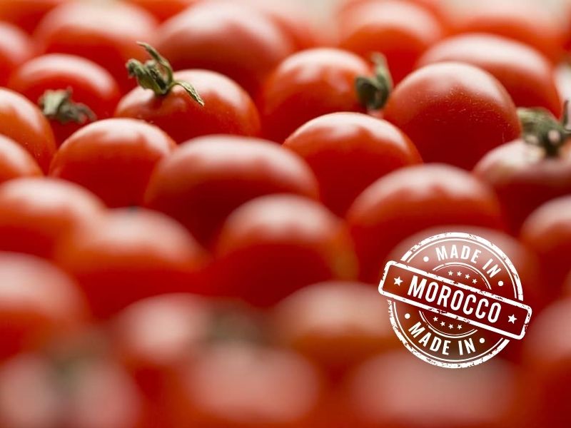 tomate Marruecos