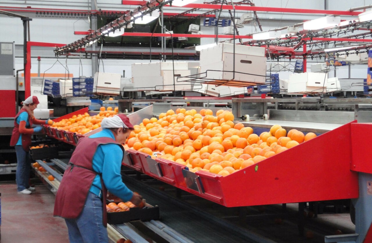 cooperativas naranjas