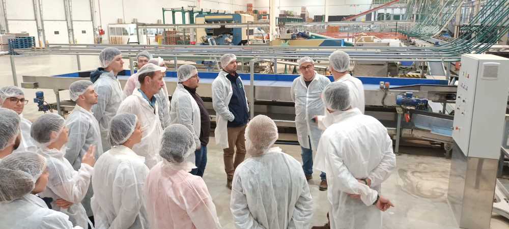 Curso citricultura ecológica IFAPA