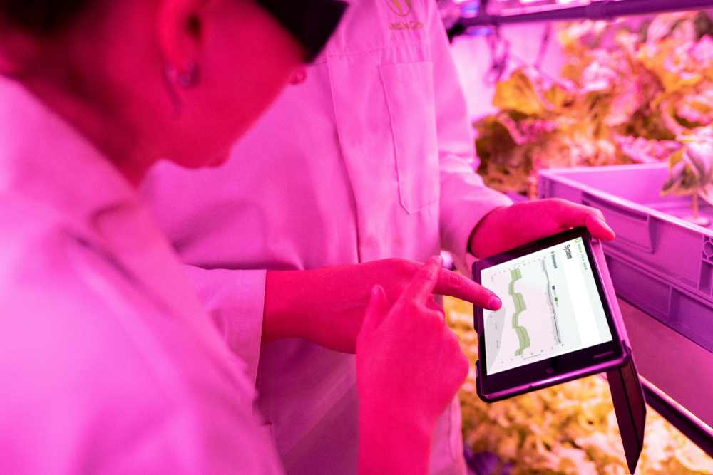 agricultura digital