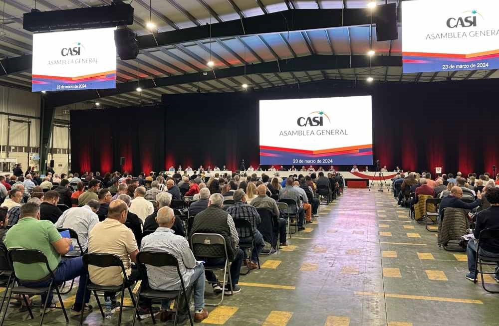 cooperativa CASI