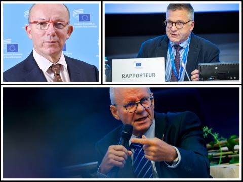 comite social europeo
