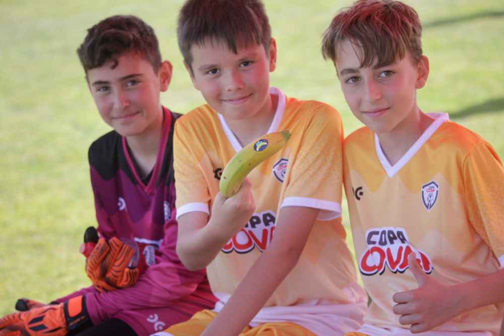 copa covap