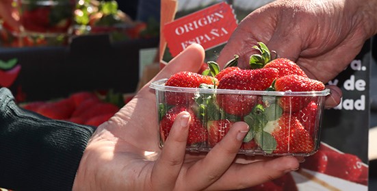 reparto fresas Huelva en Madrid