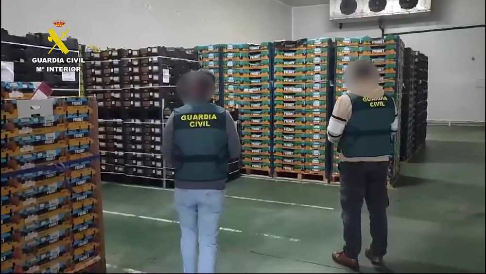 estafa sector hortofrutícola