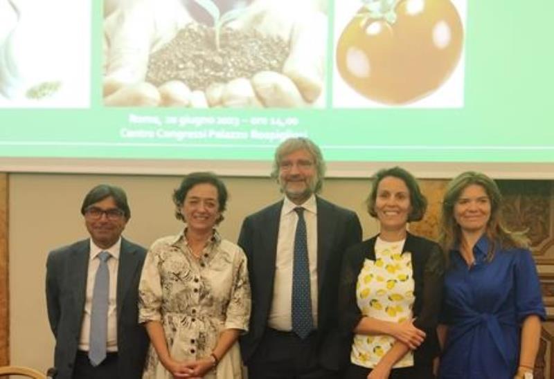 comité mixto