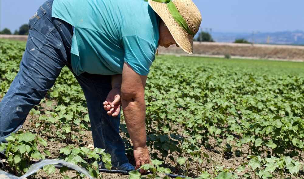 mujer agro