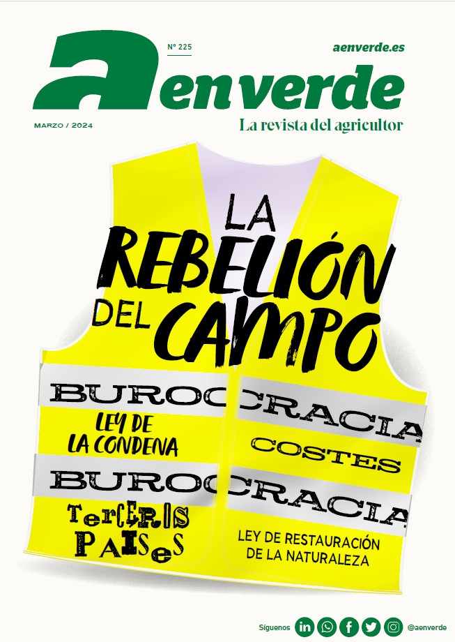 portada aenverde 225