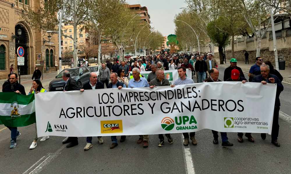protestas granada