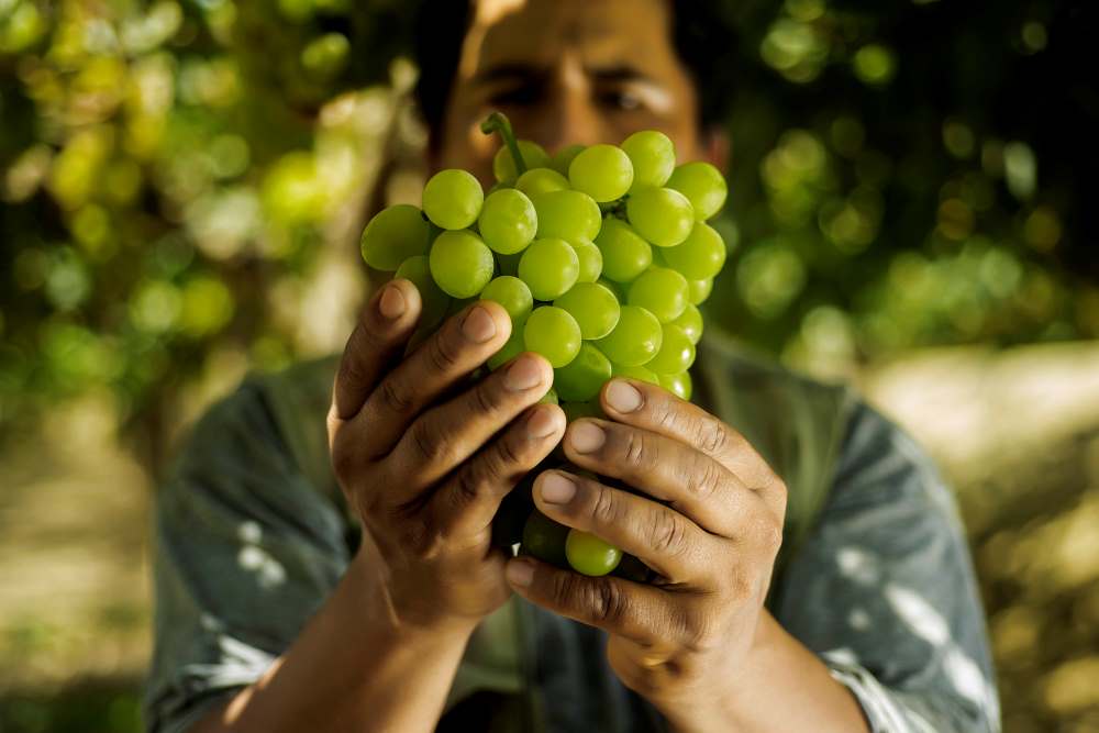 uvas peru