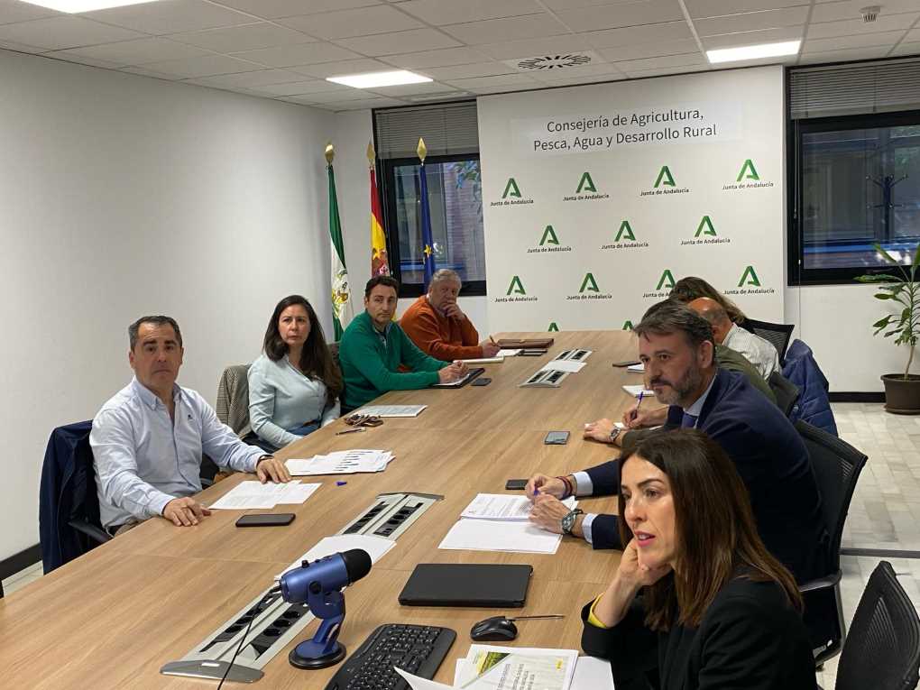 DG Dani Quesada Seguros (002)