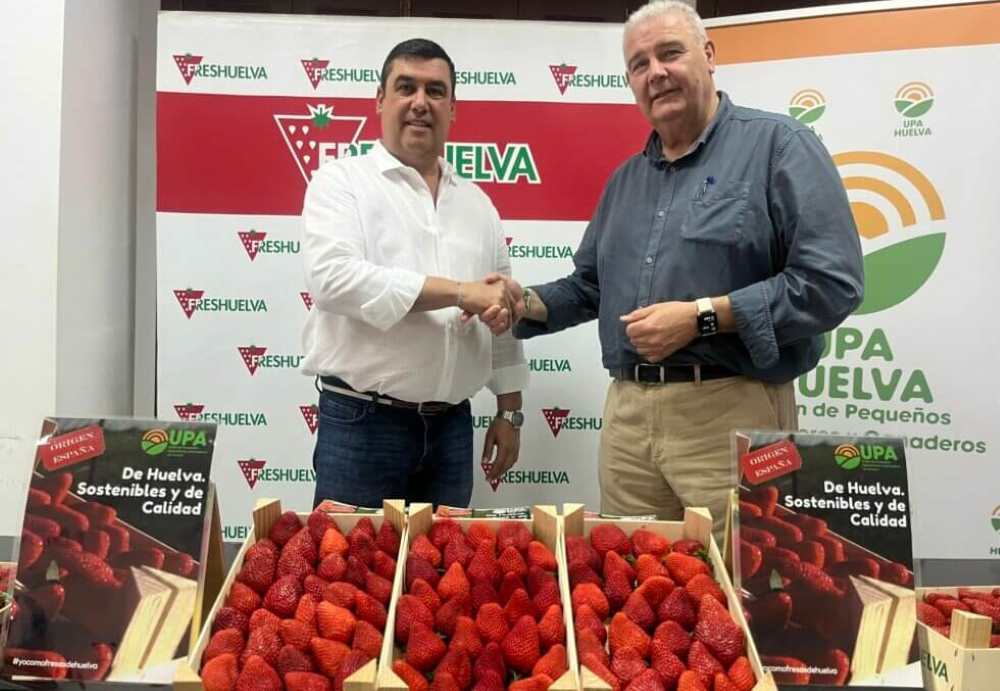 Freshuelva y UPA
