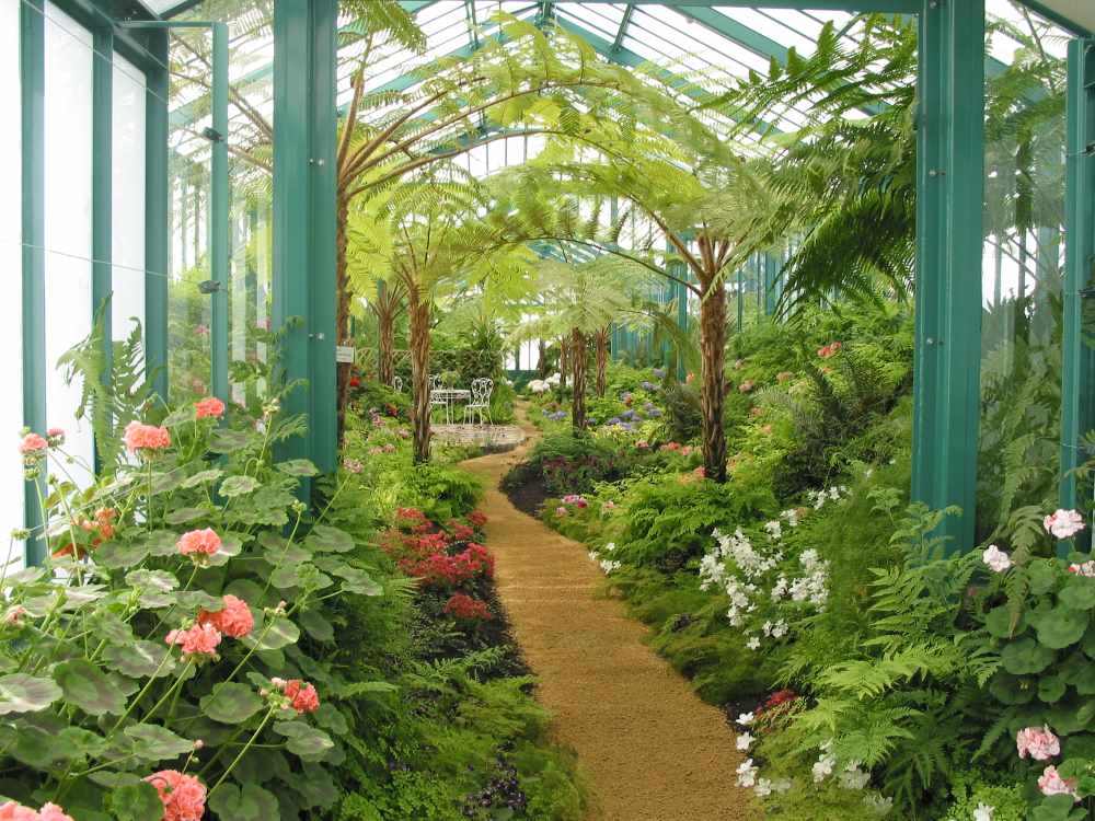 Laeken_plantas