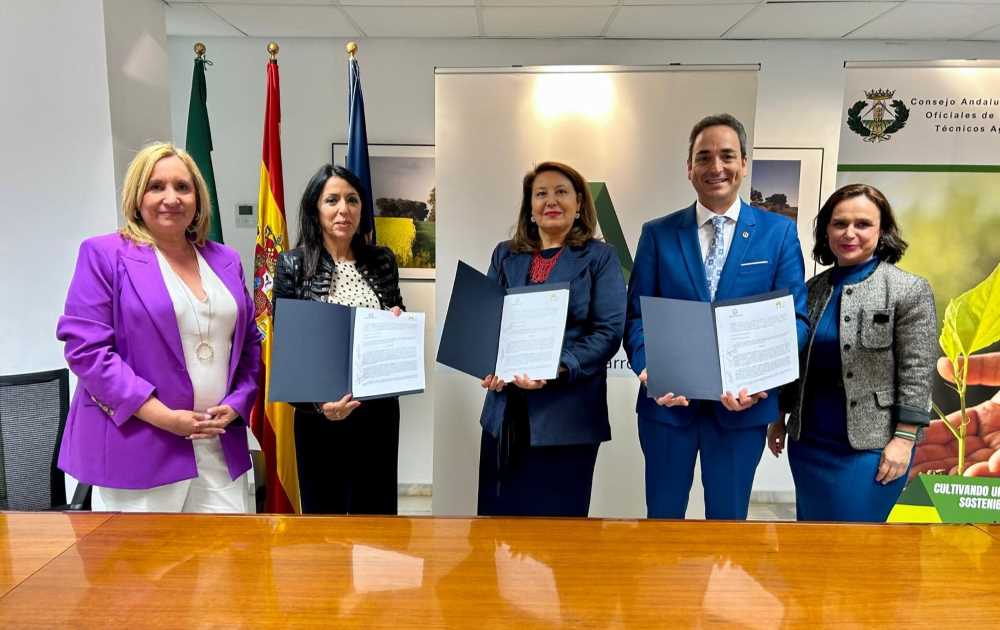 Líneas cooperacion Junta Ifapa Cacoita