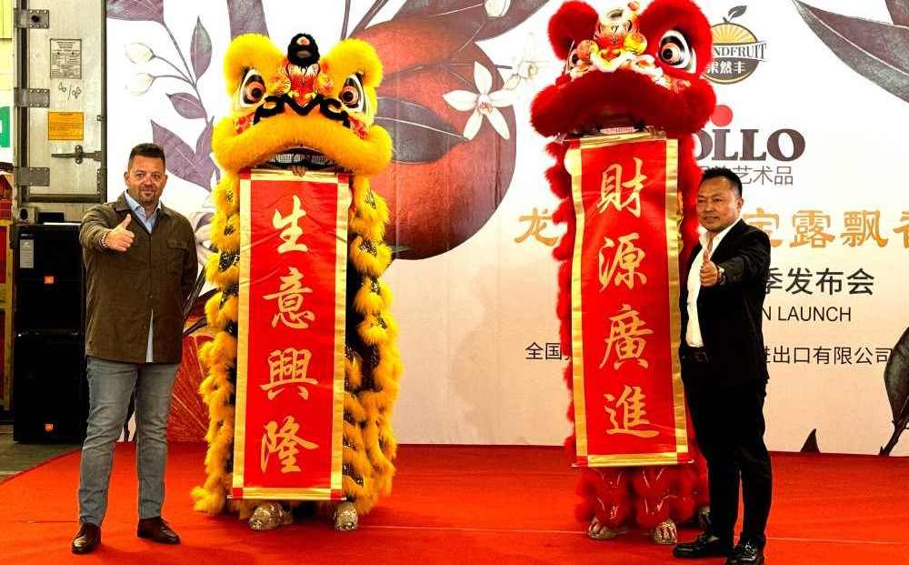 bollo en China