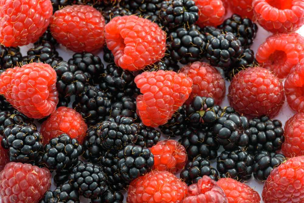 frutos rojos