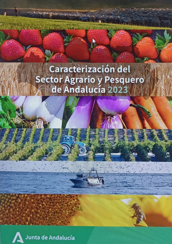 libro datos  Junta