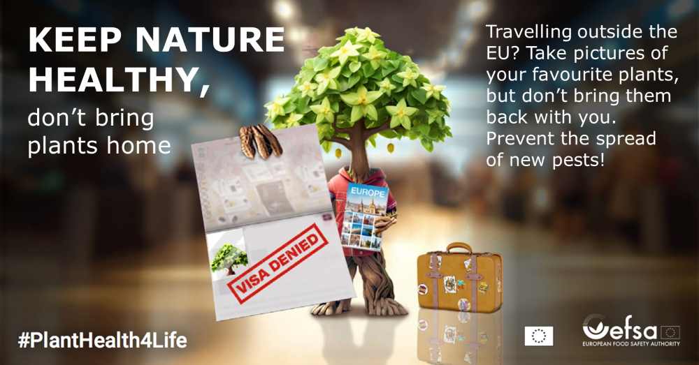 Campaña EFSA