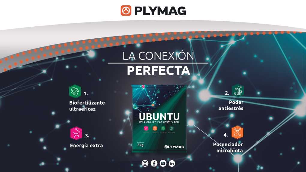 UBUNTU_02 (002)