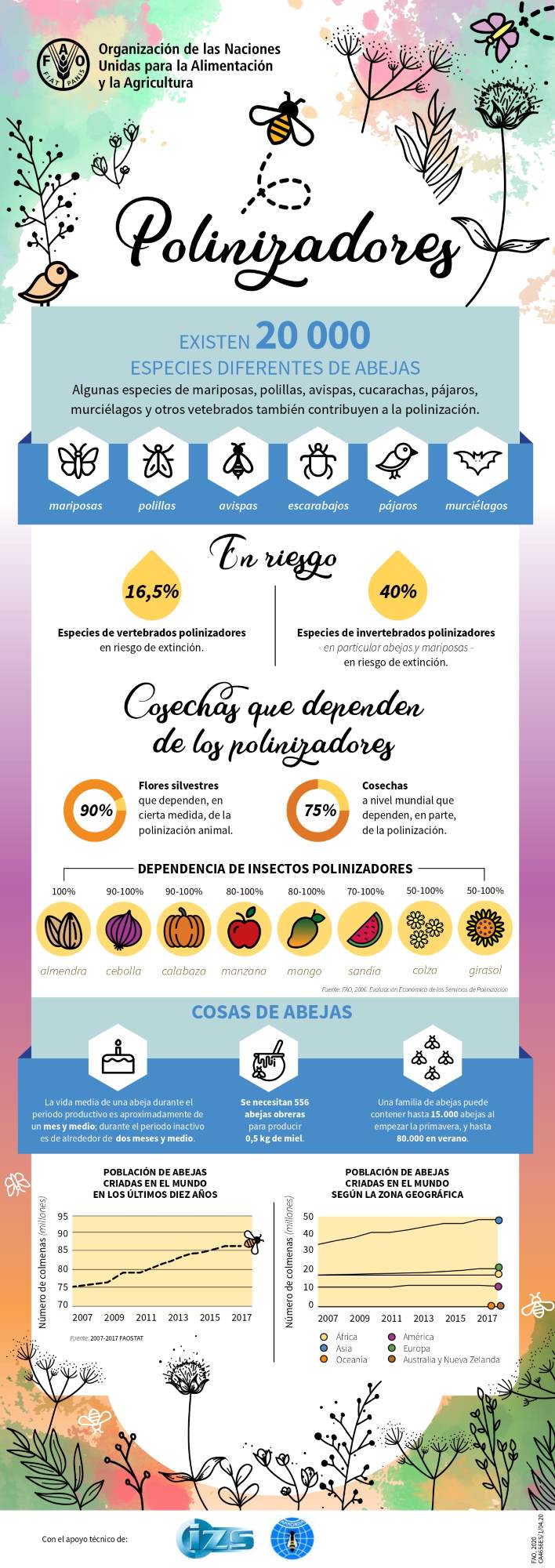 abejas info