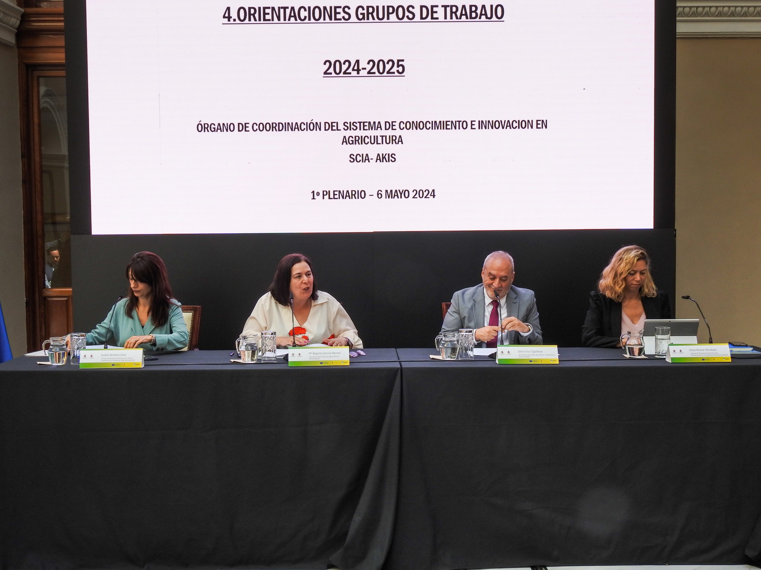 plenario AKIS