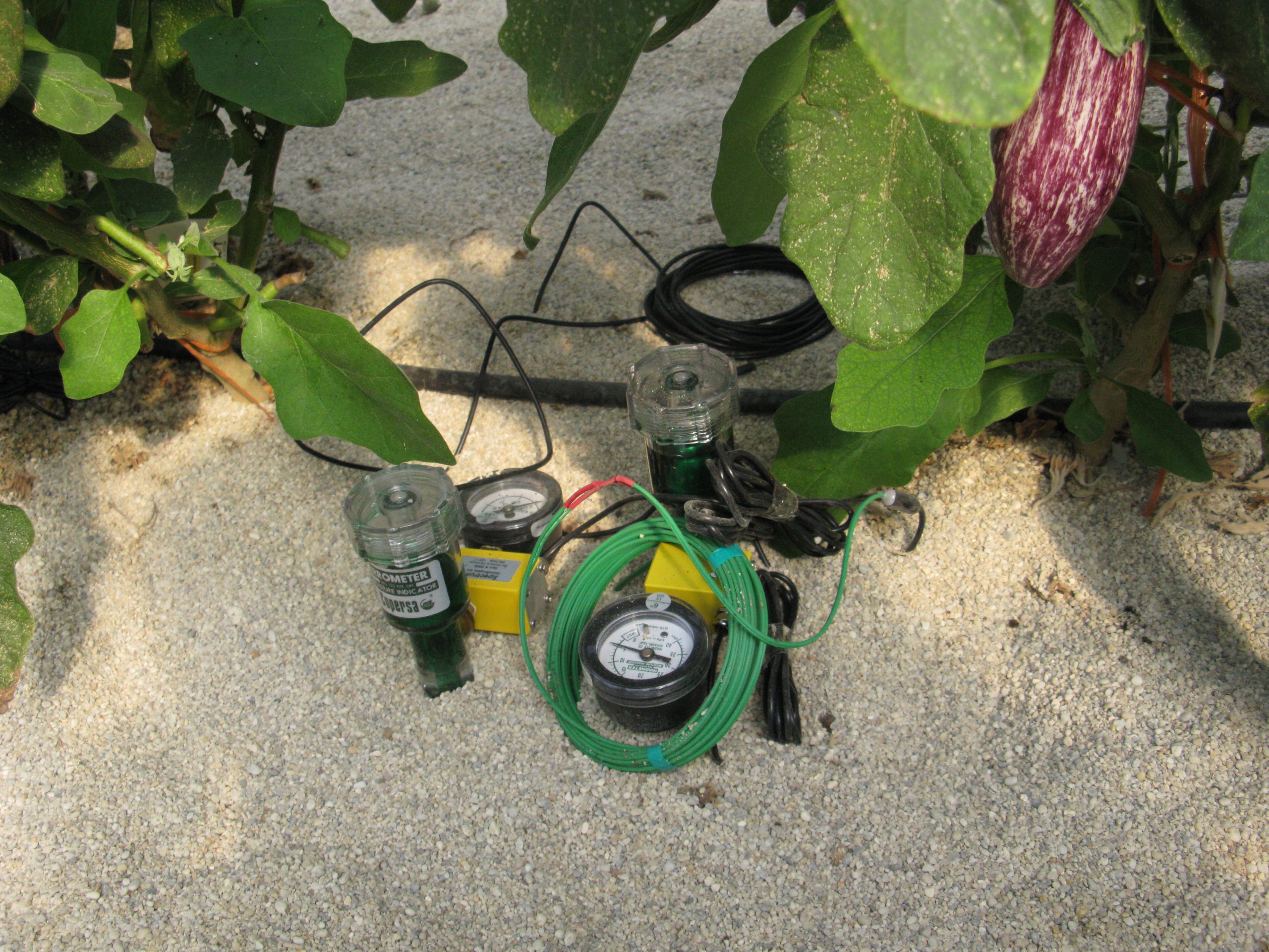 sensor riego