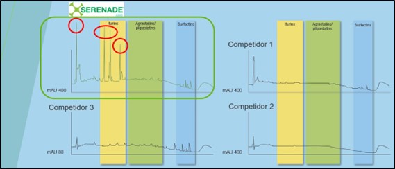 seremade BAyer