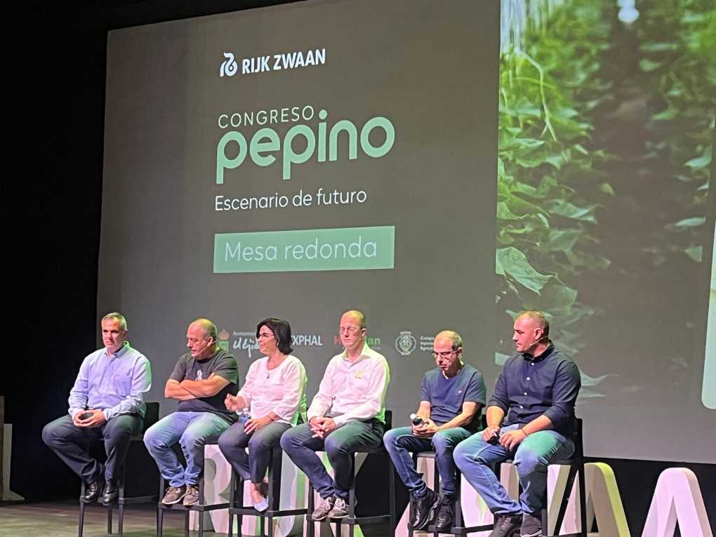 240612 RIJK ZWAAN PEPINO (2)