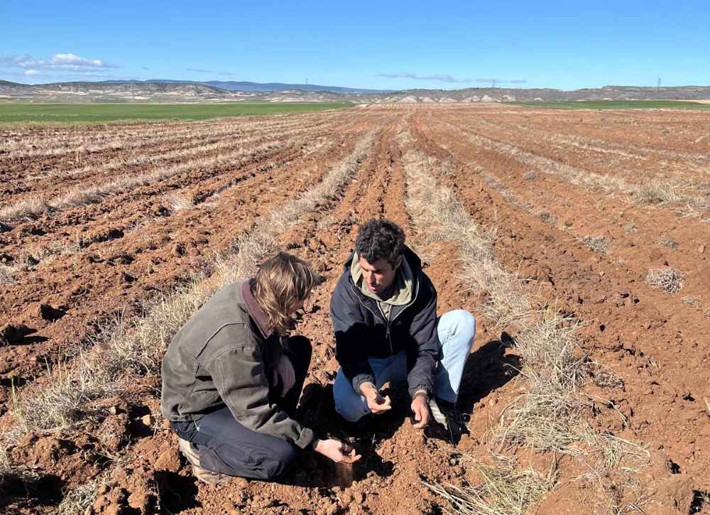 marcos agricultor