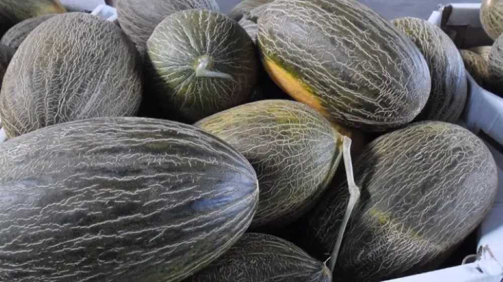 melones