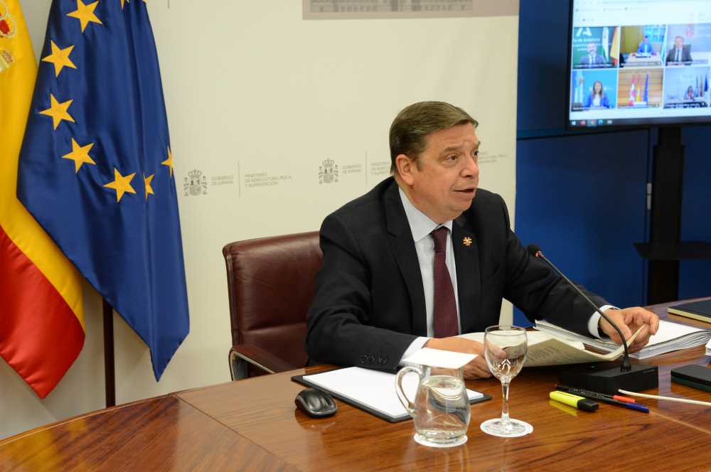 ministro conferencia sectorial