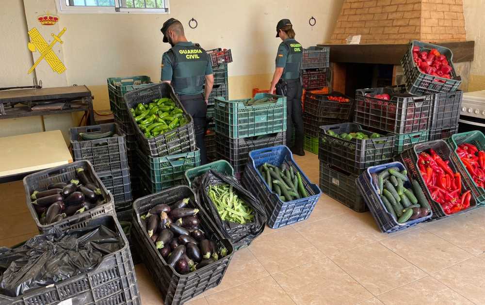 robo verduras