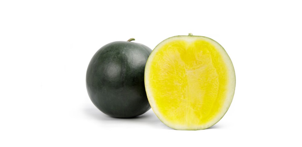 sandia rijk zwaan