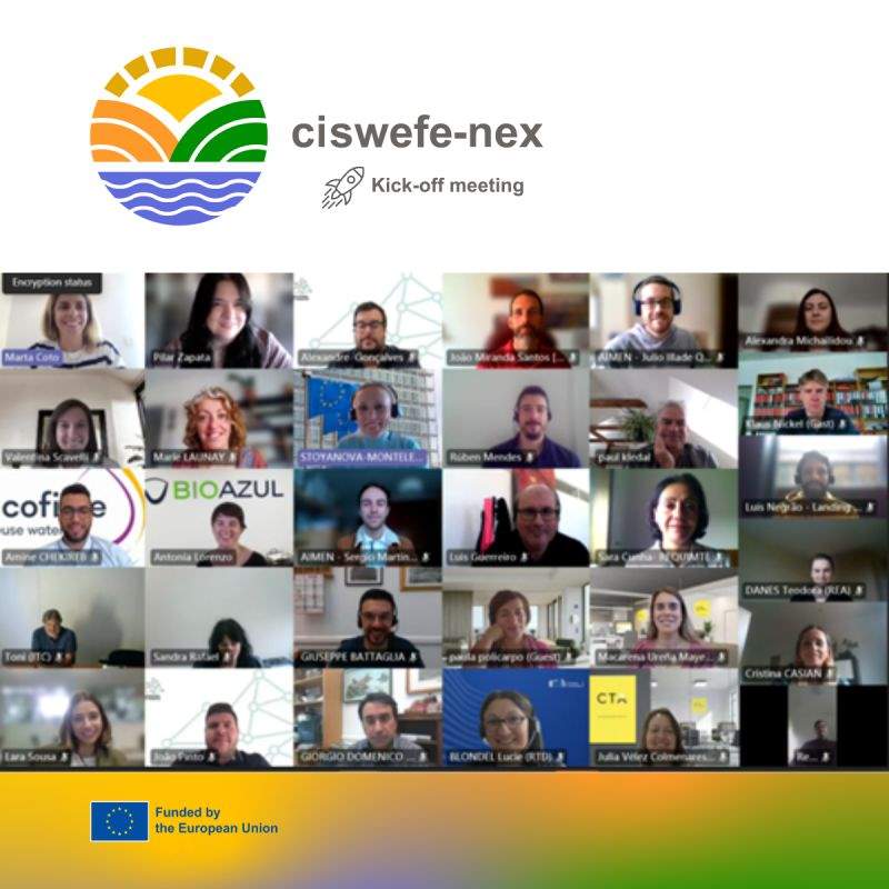 CisWEFE-NEX