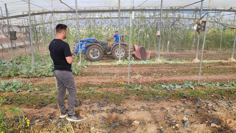 Jornada Biosolarización Ifapa