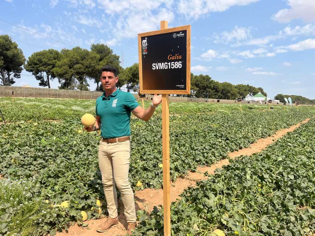 Melón Bayer