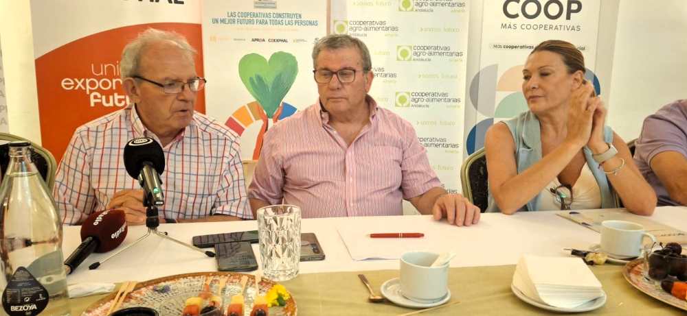PRESENTACIÓN DIA COOP