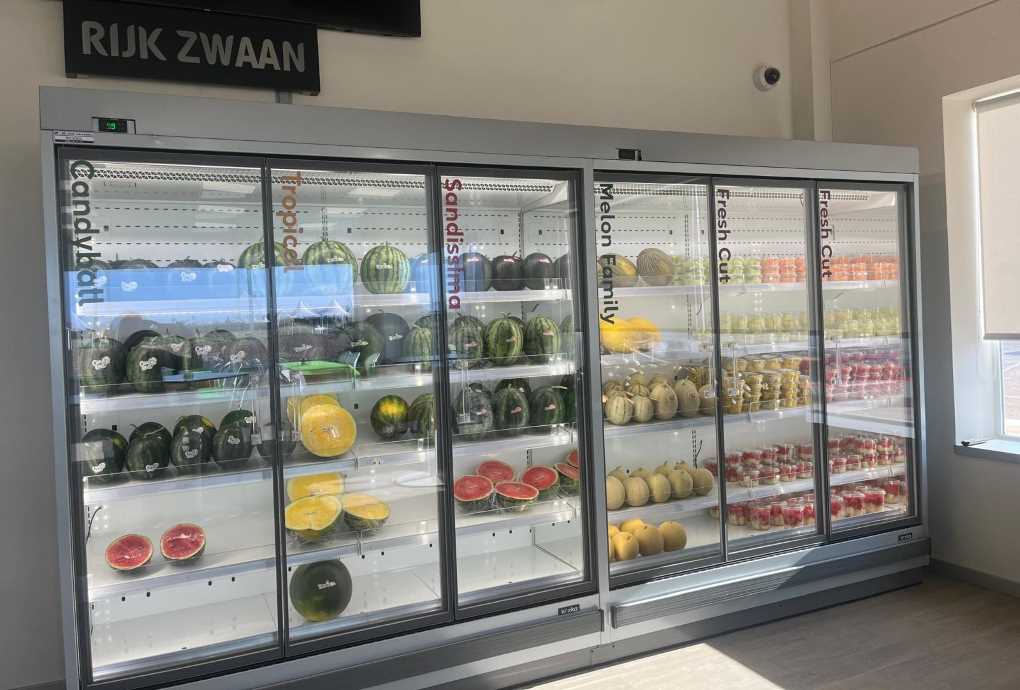Rijk Zwaan_CED La Palma (2)