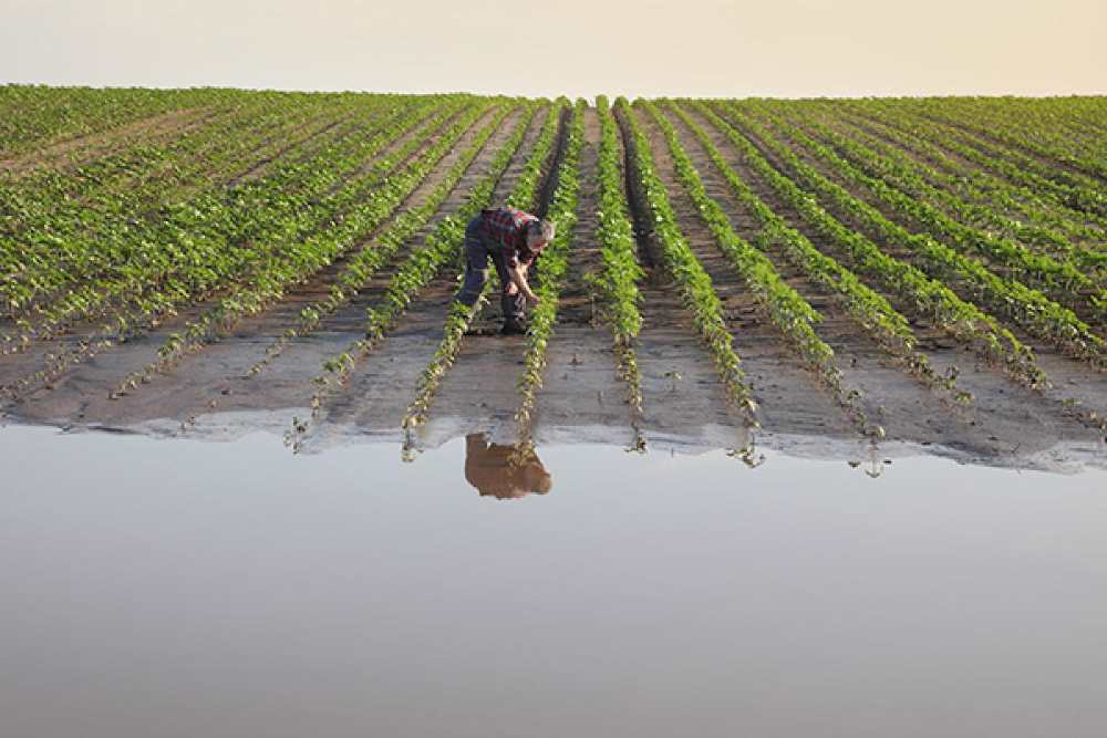 ayudas agricultores europeos
