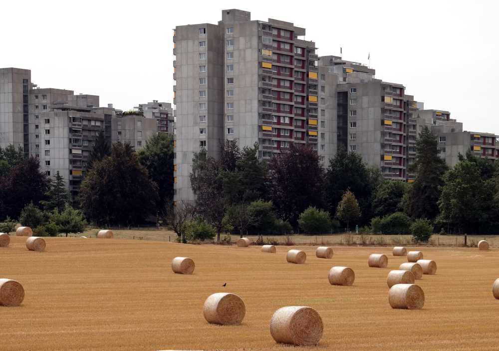 campo y ciudad