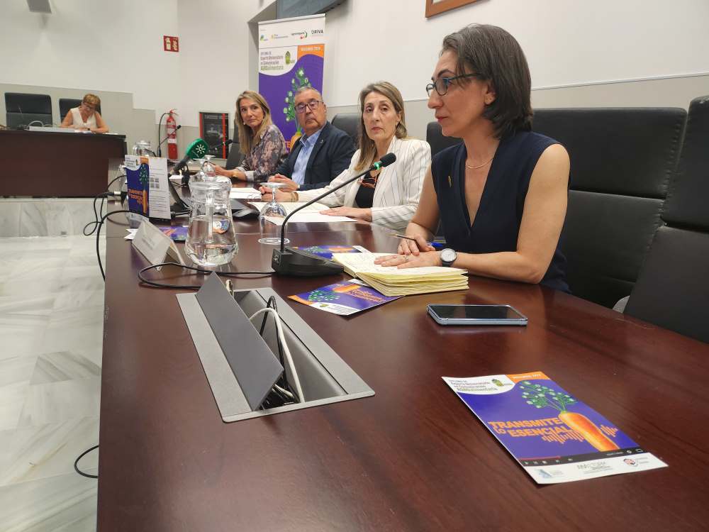 curso apae
