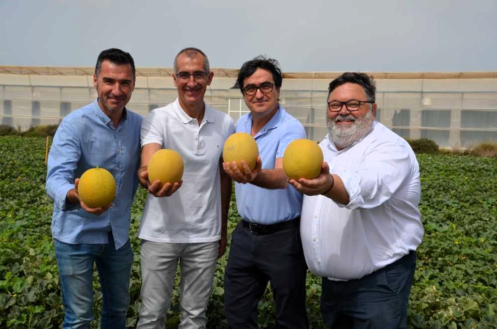 melón galia nunhems