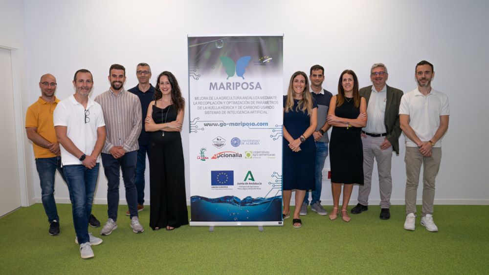 proyecto mariposa IA