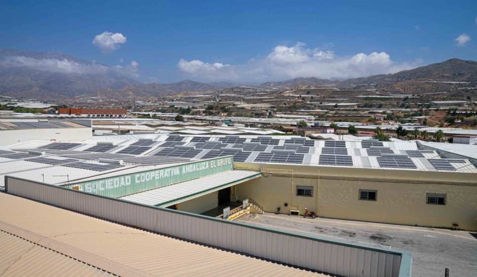 solares el grupo