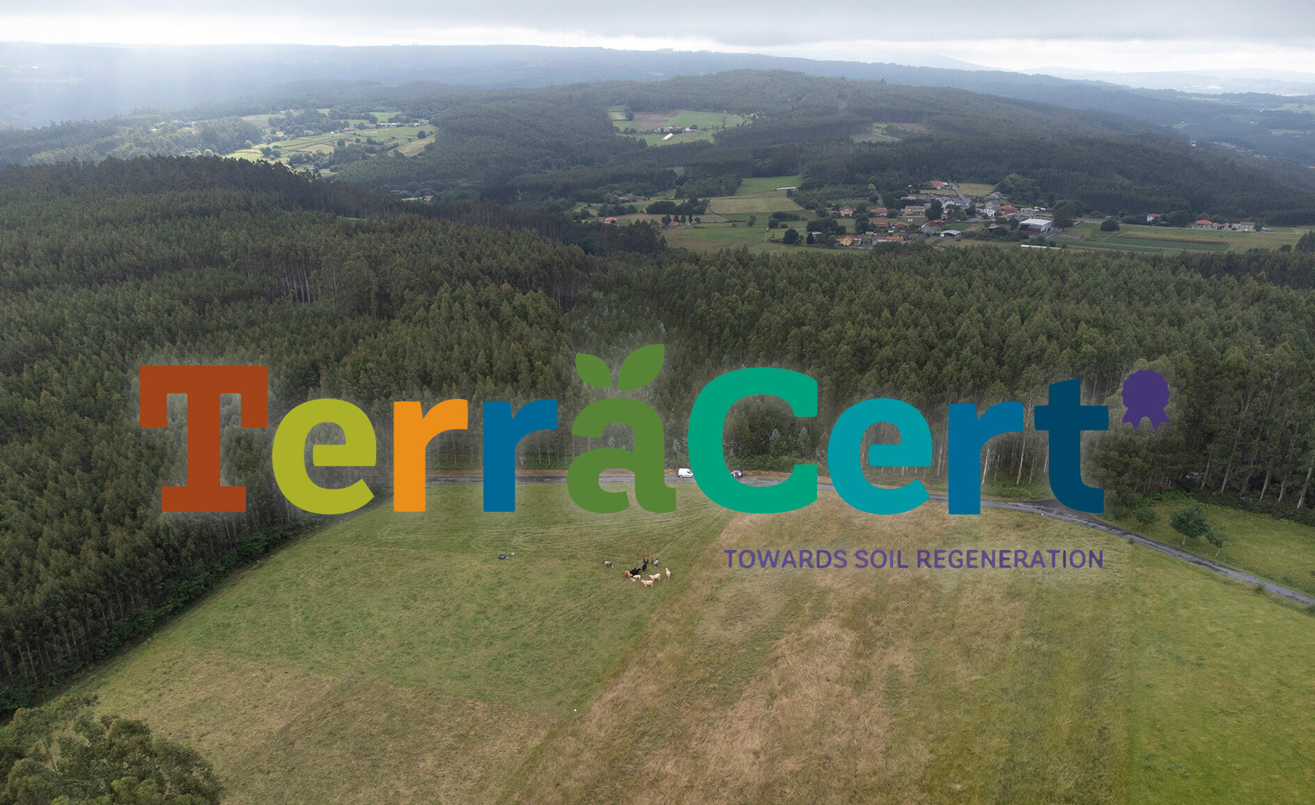 terracert agricultura regenerativa