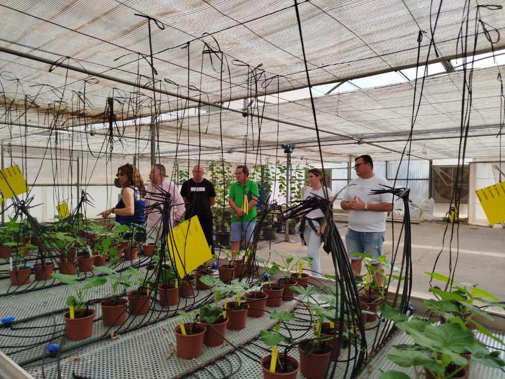 visita indasol IFAPA