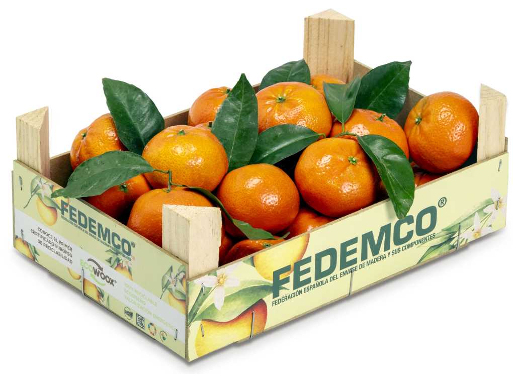 FEDEMCO Caja 05