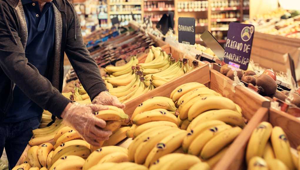 NdP Plátano de Canarias aplica medidas anticrisis (002)