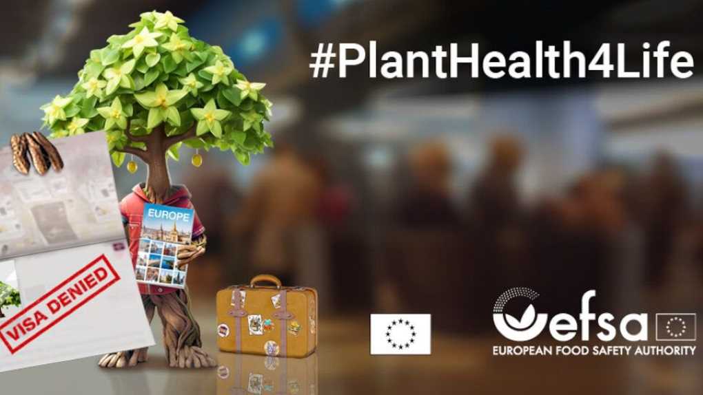 PlantHealth4Life